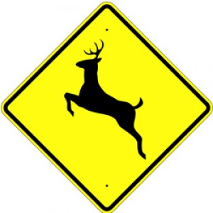 24" Deer Crossing